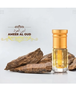 আমির আল উদ (Ameer Al Oud)