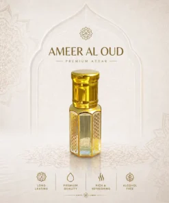 আমির আল উদ (Ameer Al Oud)